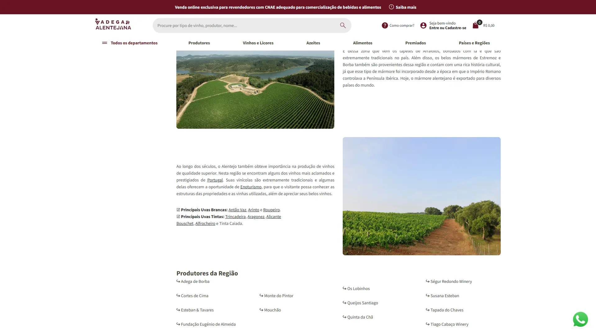 Página de detalhe da região do Alentejo, com fotos de vinhedos e texto sobre o terroir