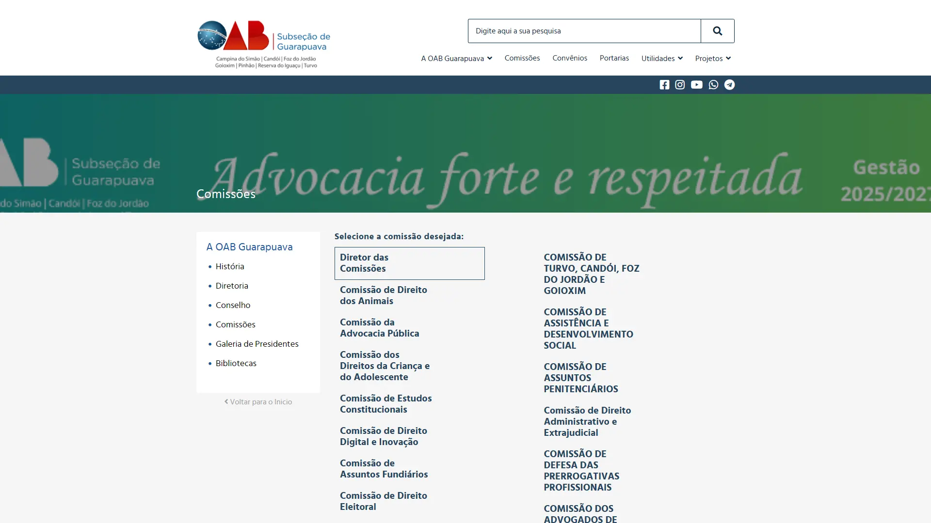 Listagem de comissões temáticas e regionais da OAB Guarapuava